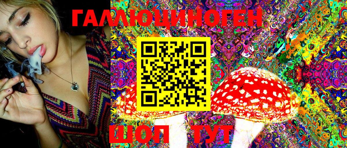 Псилоцибиновые грибы Cubensis Ейск