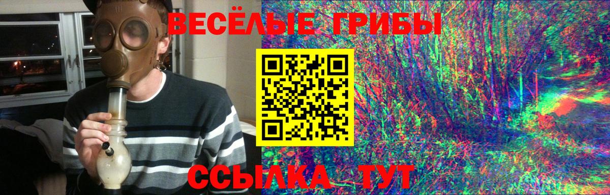 Ейск  Галлюциногенные грибы мицелий  Вход с VPN 